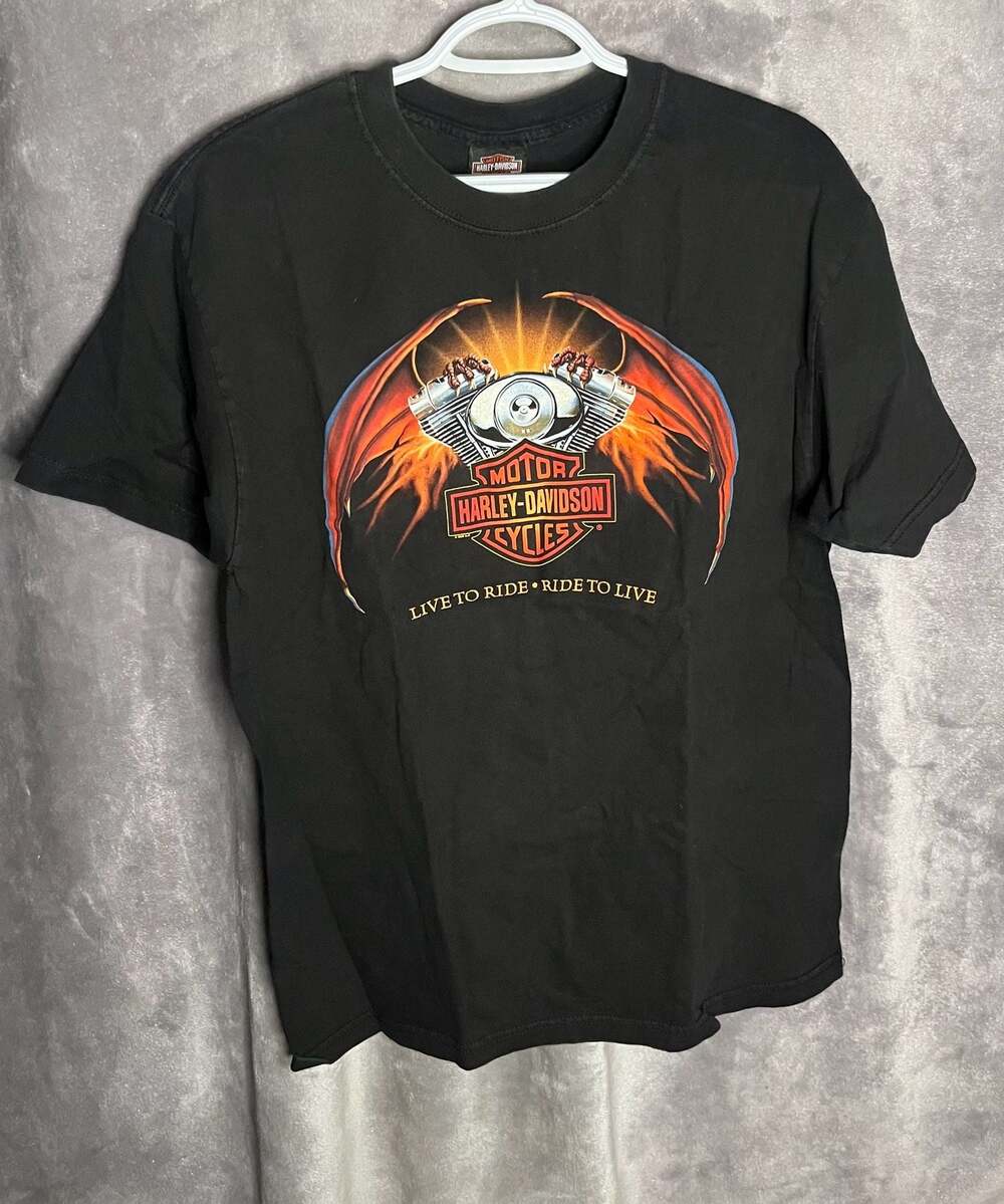 Vintage 2004 Wolverine Harley-Davidson Clinton Township MI Dragon Wing Graphic T